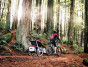 Cyklistický set Thule Chariot (Bike set)