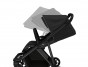 Thule Shine Black on Black