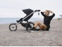 Thule Glide 3 Black