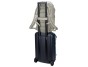 Thule Chasm batoh 26 l TCHB215 - Soft Sand