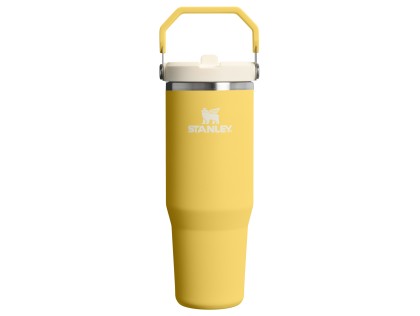 Náhled produktu - STANLEY Termoláhev s integrovanou slámkou The IceFlow™ Flip Straw 2.0 Tumbler 890 ml/30oz Daffodil