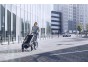 Thule Chariot Lite DOUBLE Vintage Green